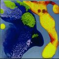 E02-1515-036