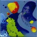 E02-1515-051