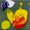 E04-1515-007