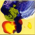 E05-1515-047