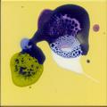 E05-1515-056