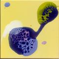 E05-1515-060