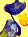 E05-1520-022