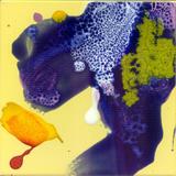 E05-2020-007