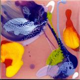E06-2020-002