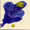 E09-1515-004