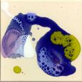 E09-1515-020